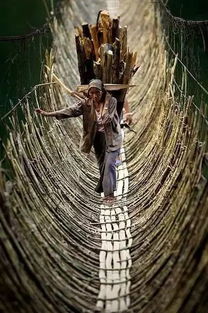 家乡的竹桥