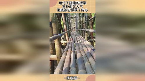 用竹子搭建的桥梁,古朴而又大气,彻底被它俘获了内心